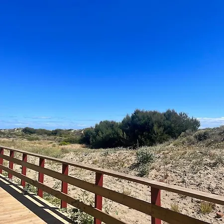 First Line Beautiful And Bright *