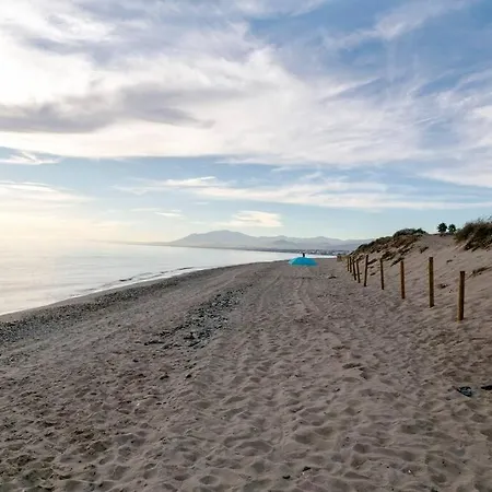 First Line Beautiful And Bright Daire